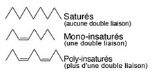 structure acides gras