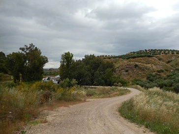 Chemin pour aller au moulin