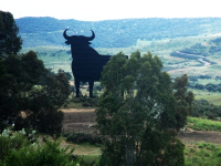 Site sur l'huile d'olive d'Espagne