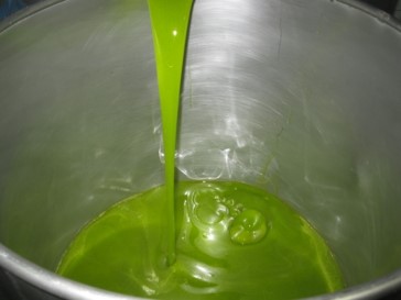 Jus d'olive fraîchement extrait jus d'olive