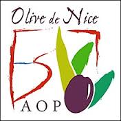 Logo AOP Nice