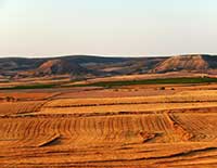 Paysage Bajo Aragon