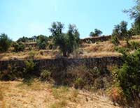 Paysage Les Garrigues Plaine