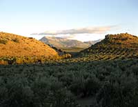 Paysage Sierra Magina Mancha Real