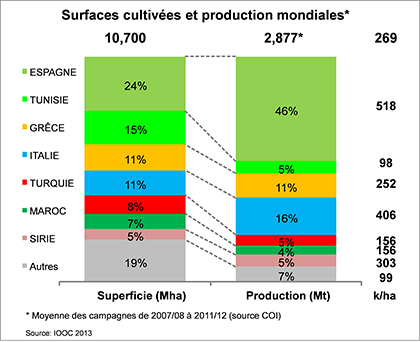 surfaces cultivées en oliviers